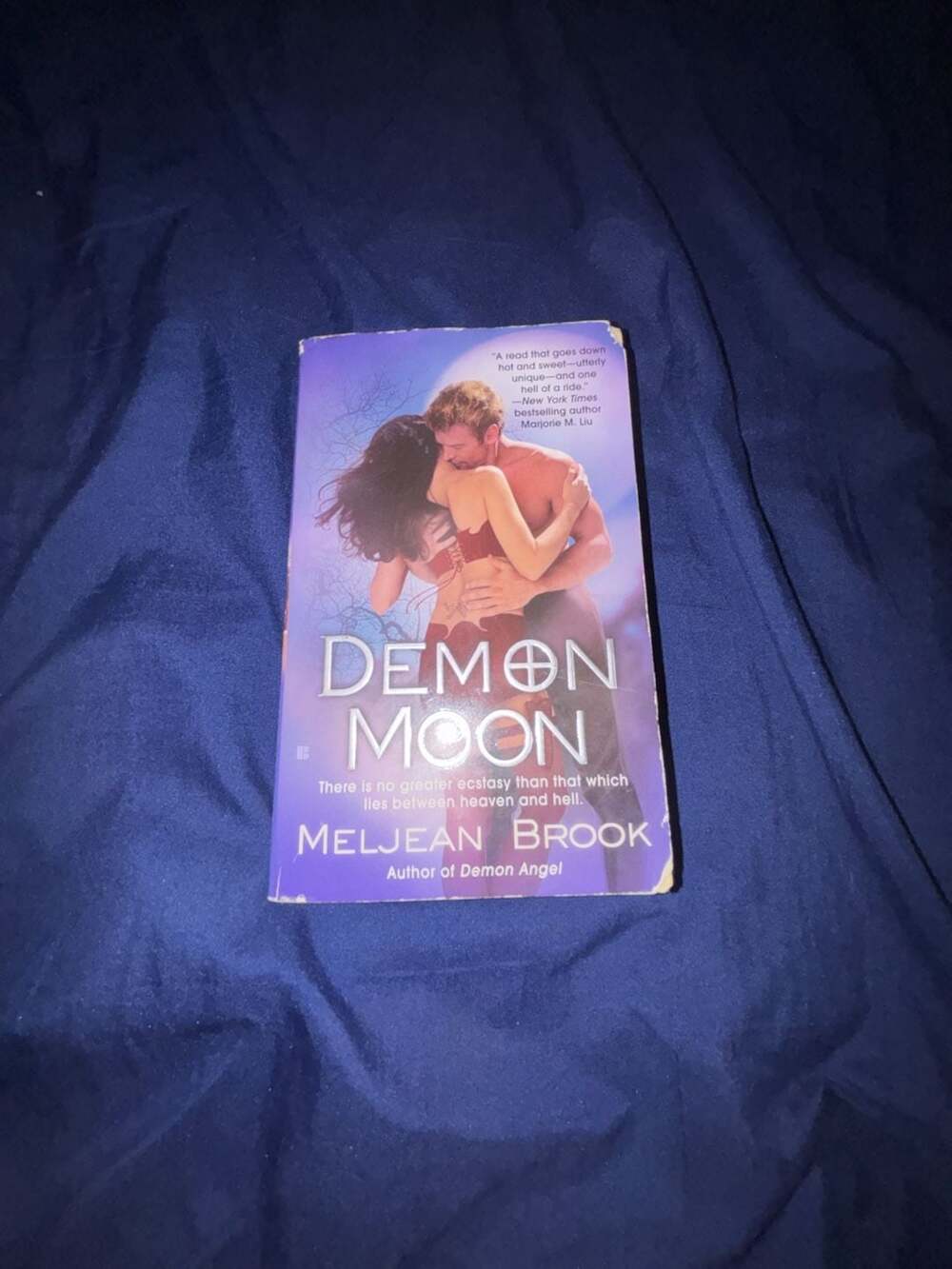 Demon Moon by Meljean Brook Paperback Novel